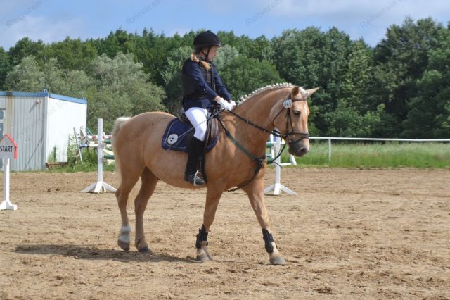 reitertag 2013 22